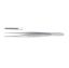 Forceps Dissecting Waugh's Serrated Tips 17.5cm 7" x 1 (Resusable)