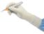 Encore Ultra Neoprene Gloves x 50 - Various Sizes Available